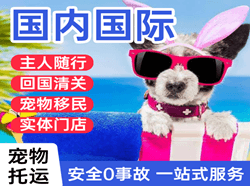 东郊航空货运国际宠物托运 【国